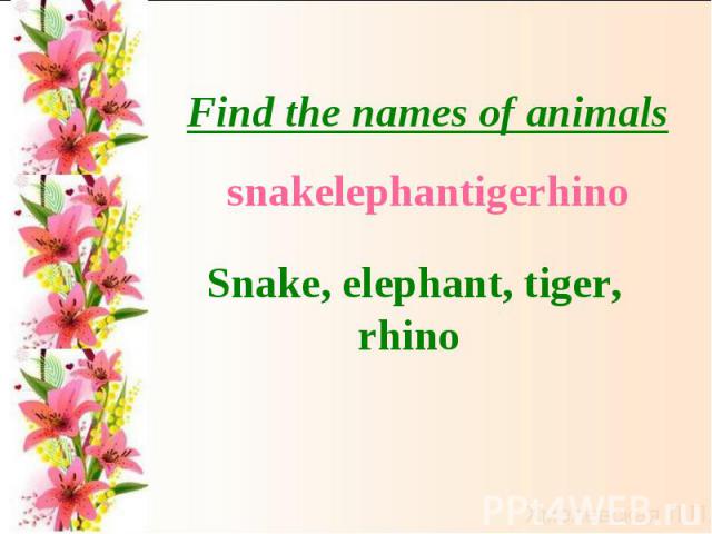 Find the names of animalssnakelephantigerhinoSnake, elephant, tiger, rhino