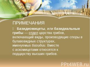 ПРИМЕЧАНИЯ Базидиомицеты, или базидиальные грибы — отдел царства грибов, включаю