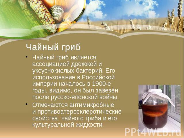 Чайный гриб Чайный гриб является ассоциацией дрожжей и уксуснокислых бактерий. Его использование в Российской империи началось в 1900-е годы, видимо, он был завезён после русско-японской войны.Отмечаются антимикробные и противоатеросклеротические св…
