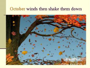 October winds then shake them down