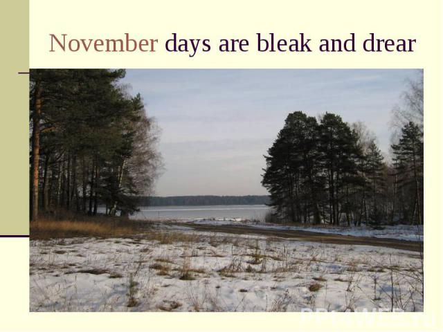 November days are bleak and drear