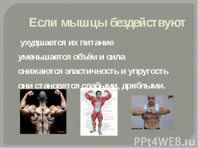 Если мышцы бездействуют ухудшается их питаниеуменьшается объём и силаснижаются эластичность и упругостьони становятся слабыми, дряблыми.
