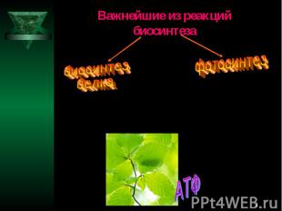 Важнейшие из реакций биосинтезабиосинтез белкафотосинтез