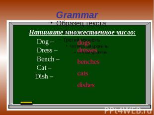 Grammar Напишите множественное число: Dog – Dress – Bench – Cat – Dish –