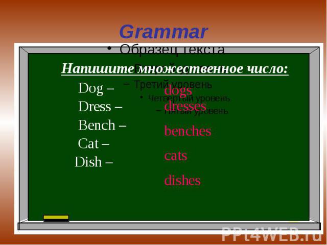 Grammar Напишите множественное число: Dog – Dress – Bench – Cat – Dish –