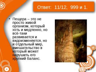 Ответ: 11/12, 999 и 1. Пещера – это не просто живой организм, который хоть и мед