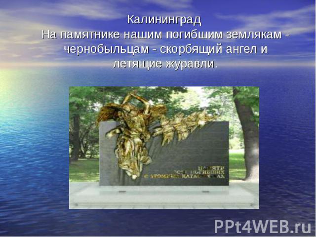 Калининград На памятнике нашим погибшим землякам - чернобыльцам - скорбящий ангел и летящие журавли.