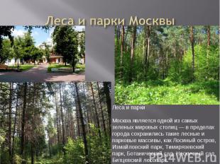 Леса и парки Москвы Леса и паркиМосква является одной из самых зеленых мировых с