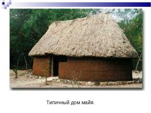 Типичный дом майя.