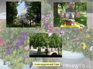 Александровский Парк