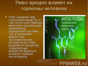 Пиво вредно влияет на гормоны человека Пиво содержит ряд токсических веществ, в