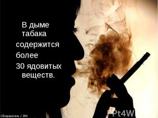 В дыме табака содержится более 30 ядовитых веществ.