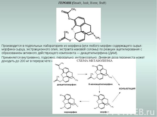 ГЕРОИН (Smack, Junk, Horse, Stuff)Производится в подпольных лабораториях из морфина (или любого морфин содержащего сырья: морфина-сырца, экстракционного опия, экстракта маковой соломы) по реакции ацетилирования с образованием активного действующего …
