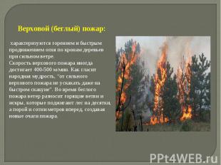 Верховой (беглый) пожар: характеризуются горением и быстрым продвижением огня по