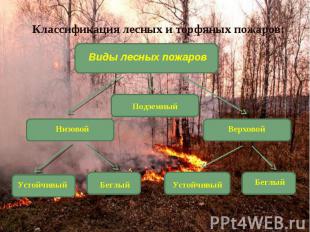 Классификация лесных и торфяных пожаров: