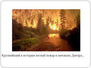 Крупнейший в истории лесной пожар в низовьях Днепра...
