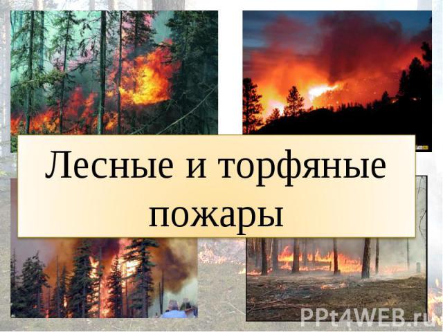Лесные и торфяные пожары