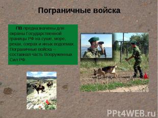 Пограничные войска ПВ предназначены для охраны Государственной границы РФ на суш