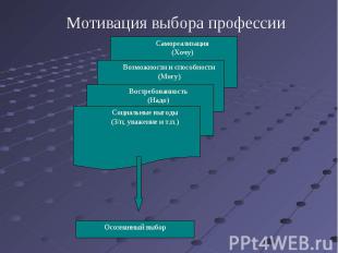 Мотивация выбора профессии