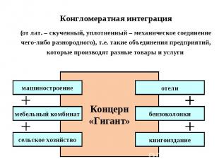 Конгломератная интеграция(от лат. – скученный, уплотненный – механическое соедин