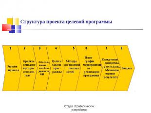 Структура проекта целевой программы