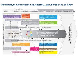 Организация магистерской программы: дисциплины по выбору