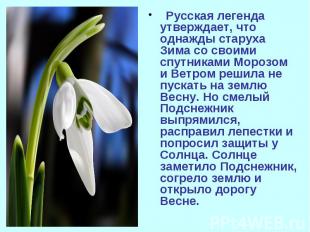 Русская легенда утверждает, что однажды старуха Зима со своими спутниками Морозо