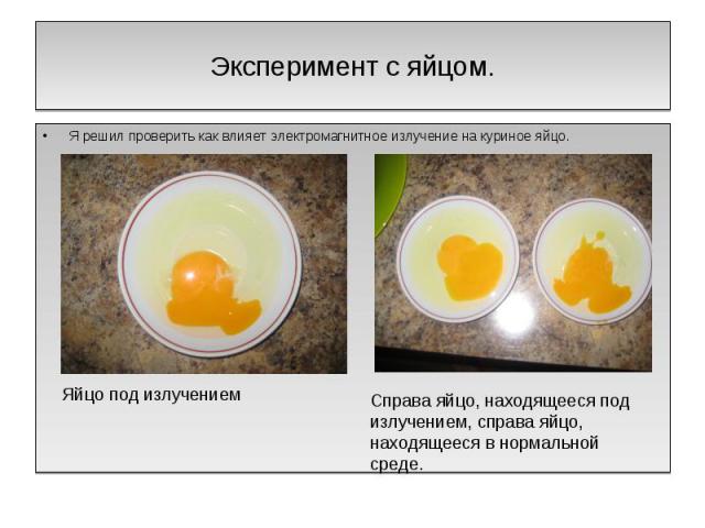 Эксперимент с яйцом. Я решил проверить как влияет электромагнитное излучение на куриное яйцо. Яйцо под излучением Справа яйцо, находящееся под излучением, справа яйцо, находящееся в нормальной среде.