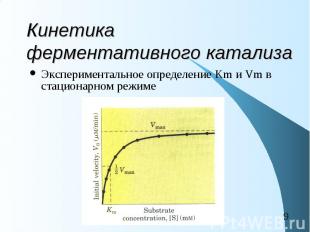 Кинетика ферментативного катализа Экспериментальное определение Km и Vm в стацио