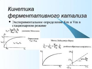Кинетика ферментативного катализа Экспериментальное определение Km и Vm в стацио
