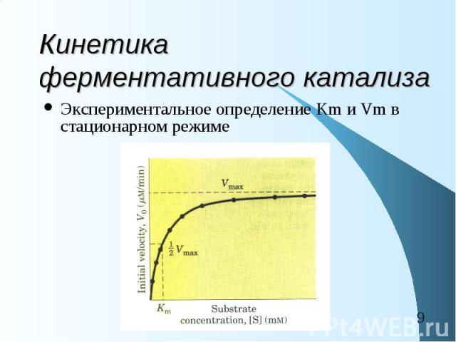 Кинетика ферментативного катализа Экспериментальное определение Km и Vm в стационарном режиме
