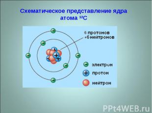 Схематическое представление ядра атома 12C