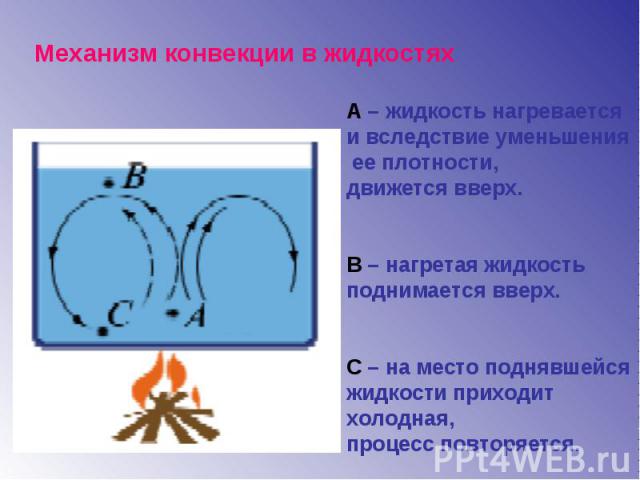 Механизм конвекции в жидкостях А – жидкость нагревается и вследствие уменьшения ее плотности, движется вверх.В – нагретая жидкость поднимается вверх.С – на место поднявшейся жидкости приходит холодная, процесс повторяется.