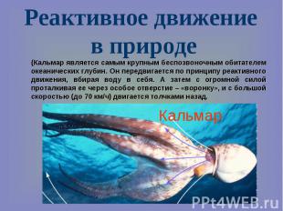 Реактивное движение в природе (Кальмар является самым крупным беспозвоночным оби