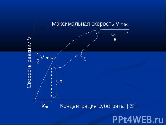 Максимальная скорость V max Скорость реакции V Концентрация субстрата