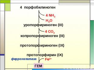 4 порфобилиноген уропорфириноген (III) копропорфириноген (III) протопорфириноген