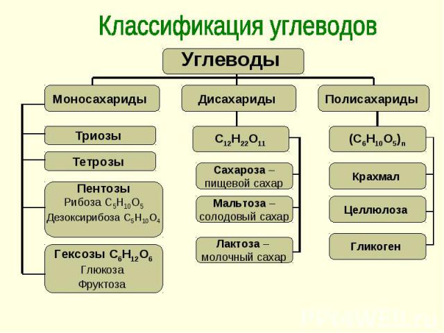 Классификация углеводов