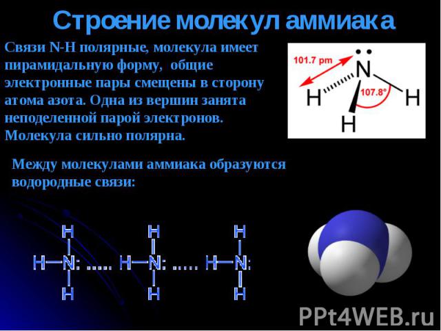 Связи N-H полярные, молекула имеет пирамидальную форму, общие электронные пары смещены в сторону атома азота. Одна из вершин занята неподеленной парой электронов. Молекула сильно полярна. Между молекулами аммиака образуются водородные связи: