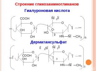 Строение гликозаминогликанов Гиалуроновая кислота Дерматансульфат