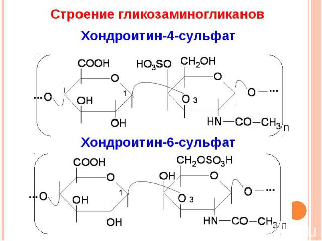 Строение гликозаминогликанов Хондроитин-4-сульфат Хондроитин-6-сульфат
