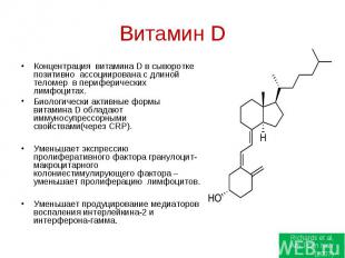 Концентрация витамина D в сыворотке позитивно ассоциирована с длиной теломер в п