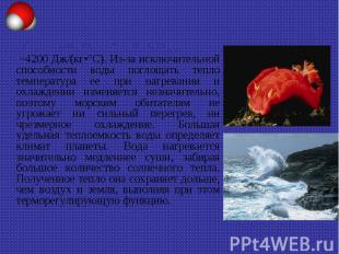 Удельная теплоемкость воды ~4200 Дж/(кг•°С). Из-за исключительной способности во