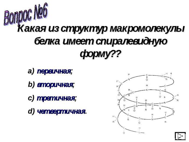 Какая из структур макромолекулы белка имеет спиралевидную форму?? первичная; вторичная; третичная; четвертичная.