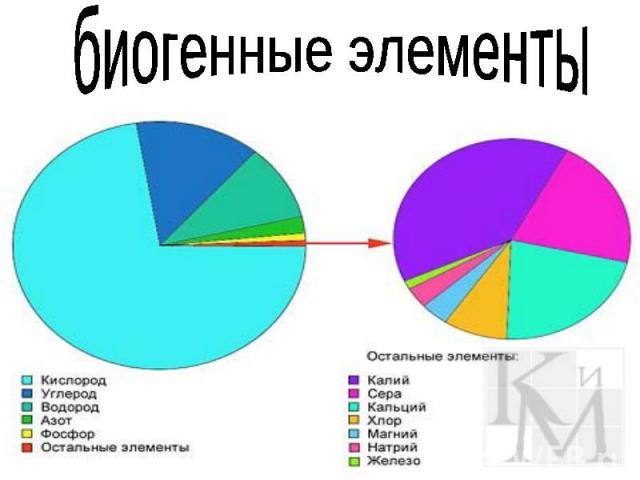 биогенные элементы