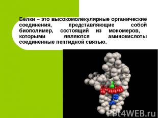 Белки – это высокомолекулярные органические соединения, представляющие собой био