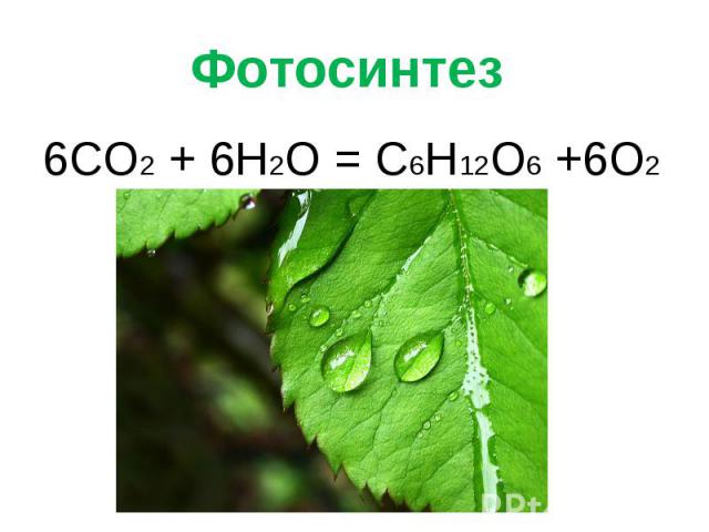 Фотосинтез 6CO2 + 6H2O = C6H12O6 +6O2