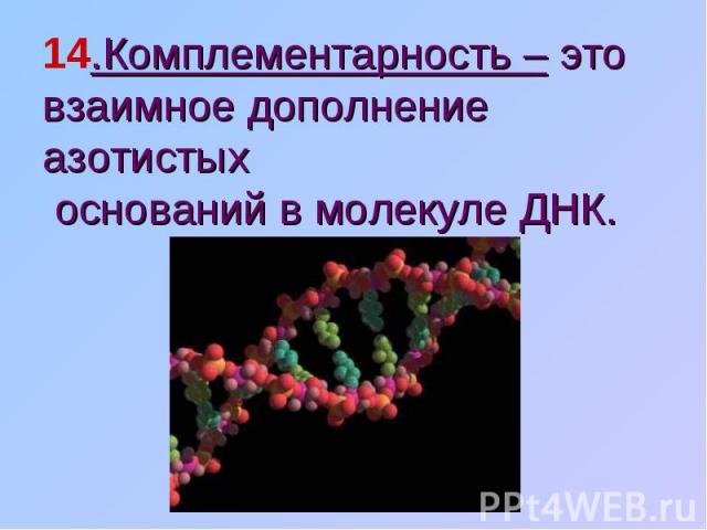 14.Комплементарность – это взаимное дополнение азотистых оснований в молекуле ДНК.