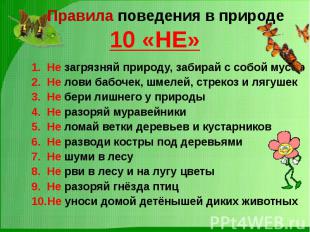 Правила поведения в природе10 «НЕ» Не загрязняй природу, забирай с собой мусорНе