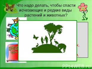 Что надо делать, чтобы спасти исчезающие и редкие виды растений и животных?