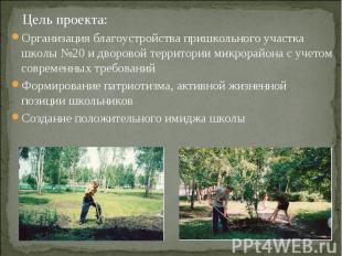 Цель проекта:Организация благоустройства пришкольного участка школы №20 и дворов